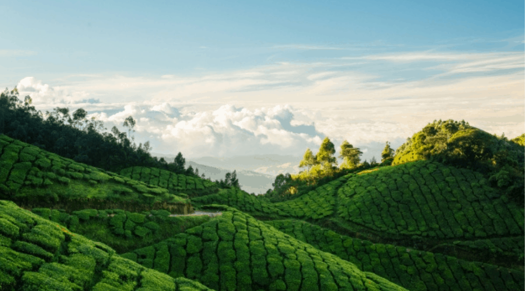 kerela-destination