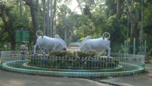 botanical-garden-puducherry-india