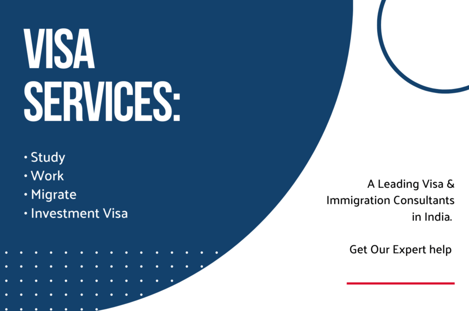 visa-immigration-consultant